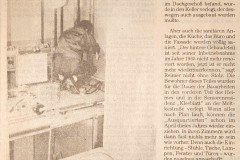 Barmstedter Zeitung 04.01.1996