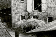 Humburg-Haus_Stallungen_Heuwagen_ca_1970_St